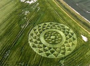 Crop circle 2013