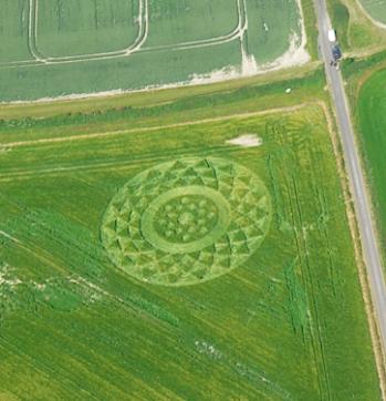 Crop circle 2013