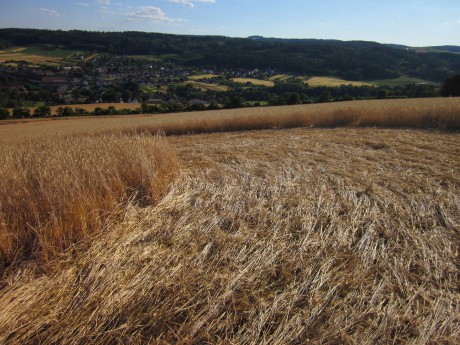 Crop circle 2013