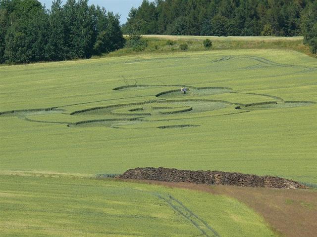 Crop circle 2013