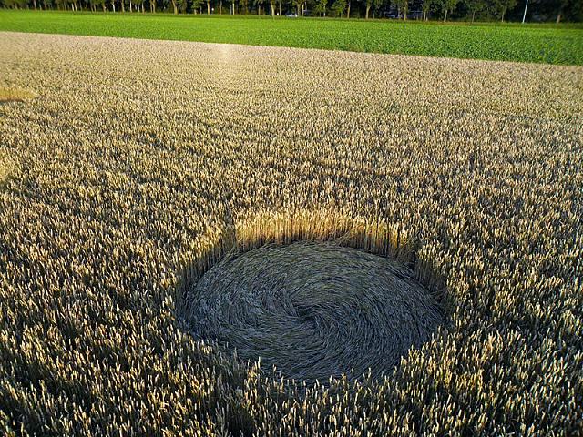 Crop circle 2013