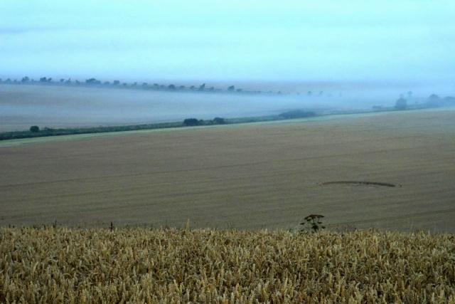 Crop circle 2013