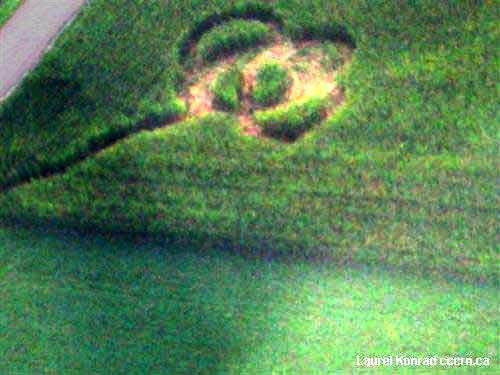 Crop circle