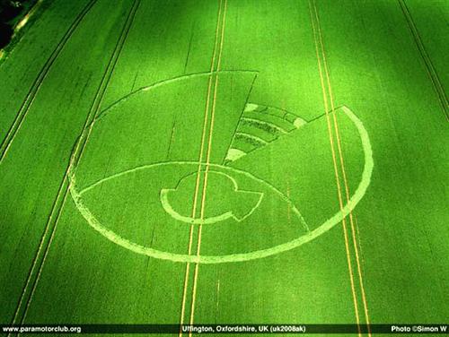 Crop circle