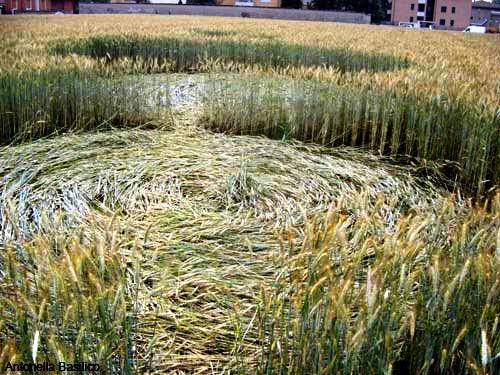 Crop circle