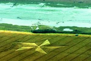 Crop circle