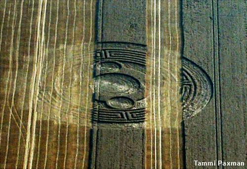 Crop circle