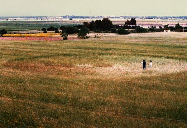 Crop circle