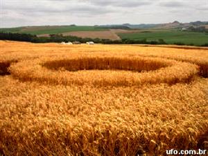 Crop circle