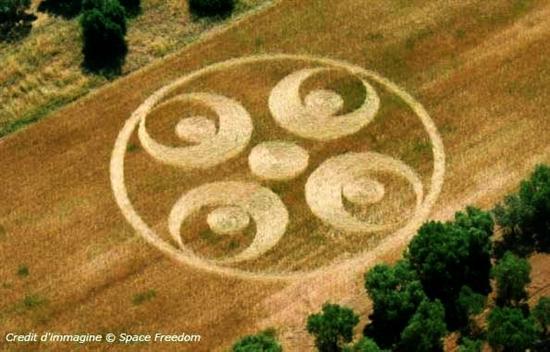 Crop circle