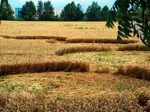 Crop circle