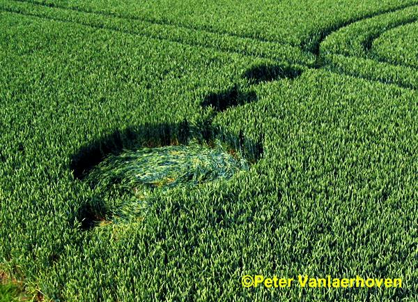 Crop circle