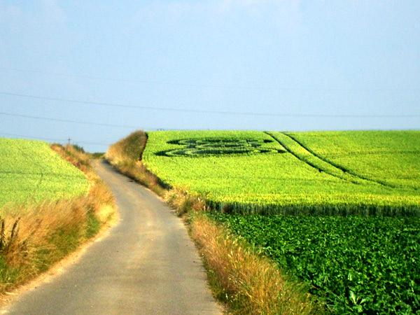 Crop circle