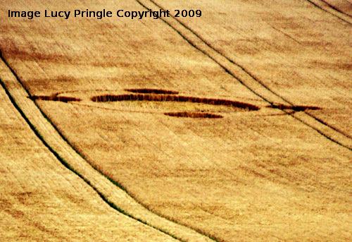 Crop circle