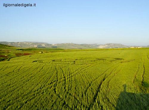 Crop circle