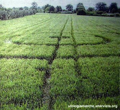 Crop circle