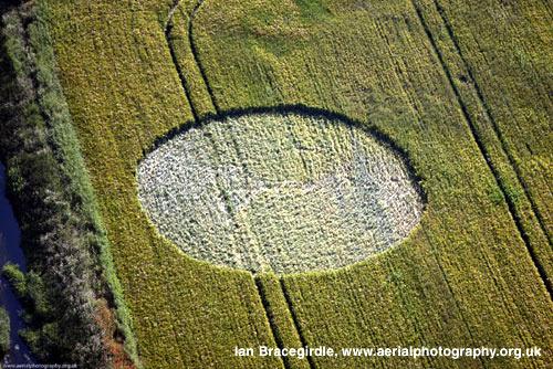 Crop circle