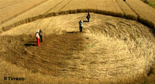 Crop circle