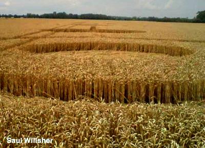 Crop circle