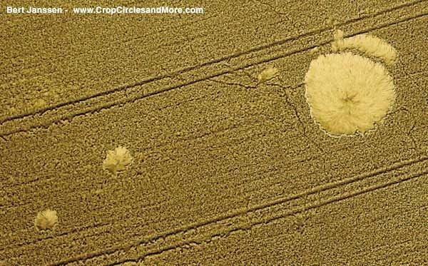 Crop circle