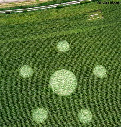 Crop circle