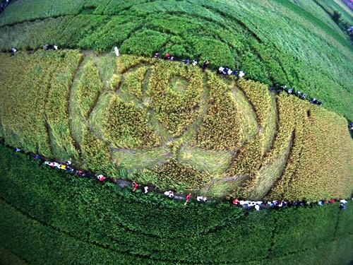 Crop circle