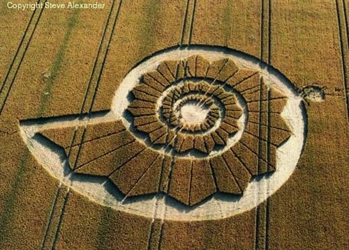 Crop circle