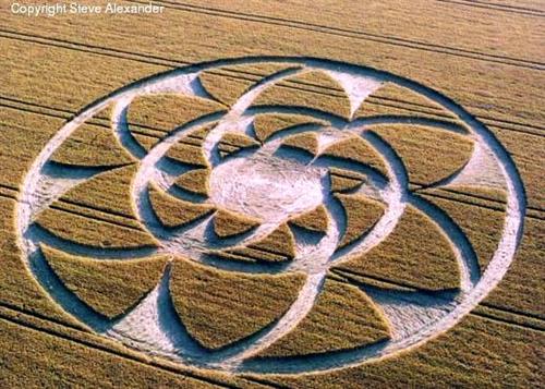 Crop circle