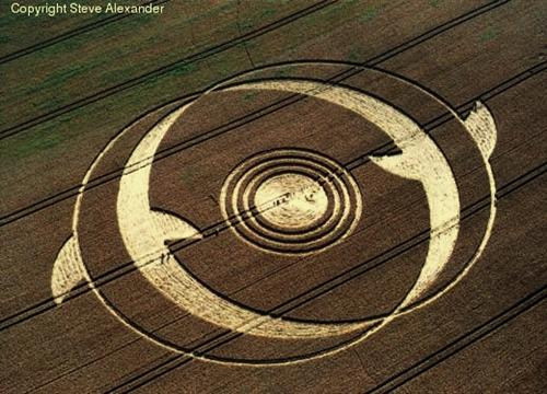 Crop circle