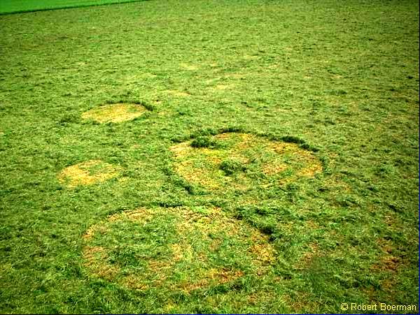 Crop circle