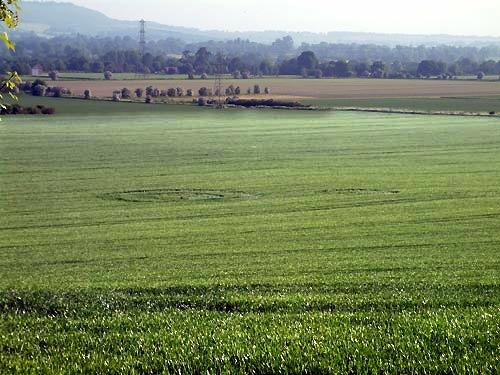 Crop circle