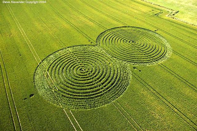 Crop circle