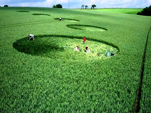 Crop circle