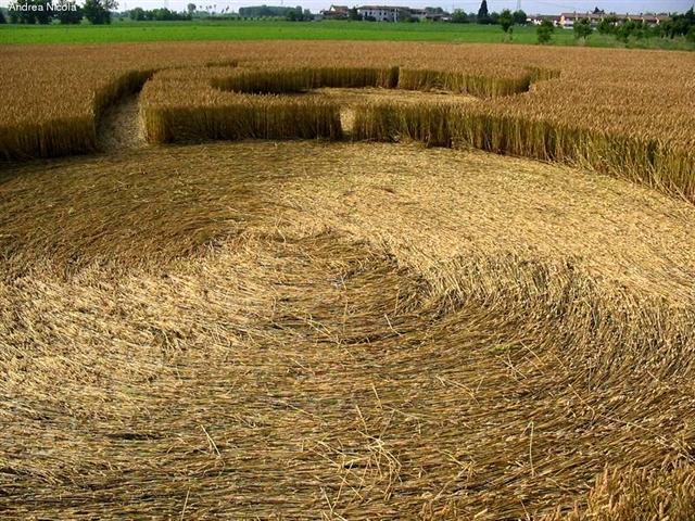 Crop circle