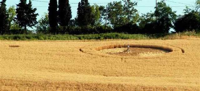 Crop circle