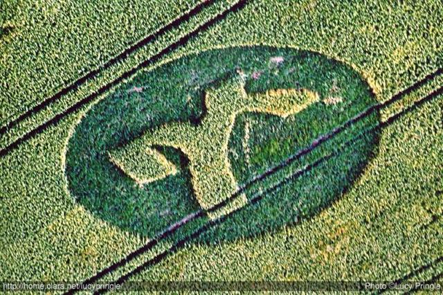 Crop circle