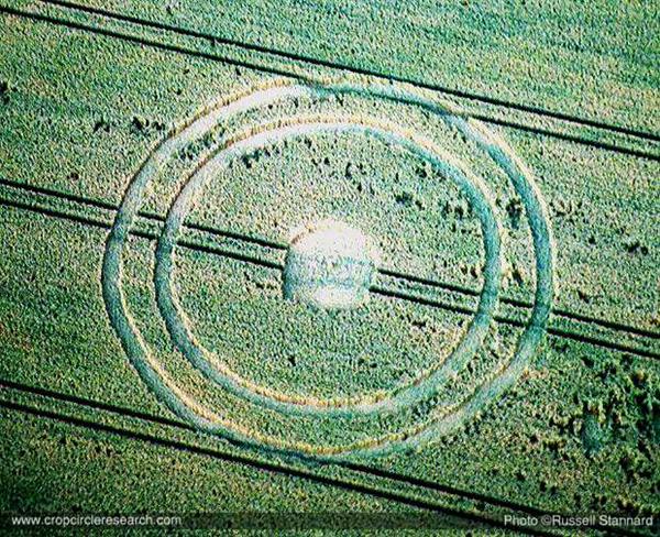 Crop circle