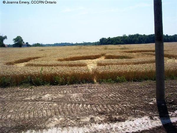 Crop circle