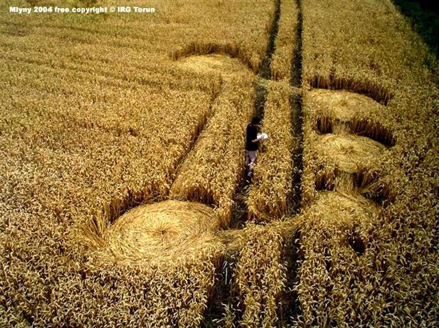 Crop circle