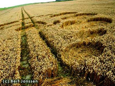 Crop circle