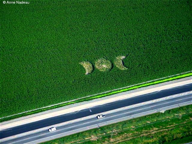 Crop circle