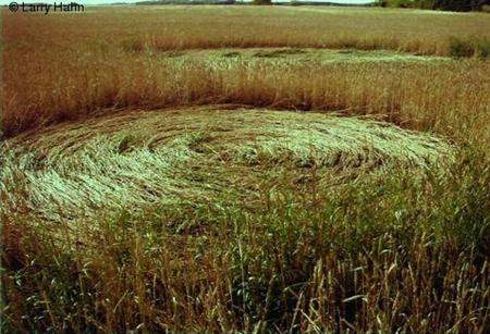 Crop circle