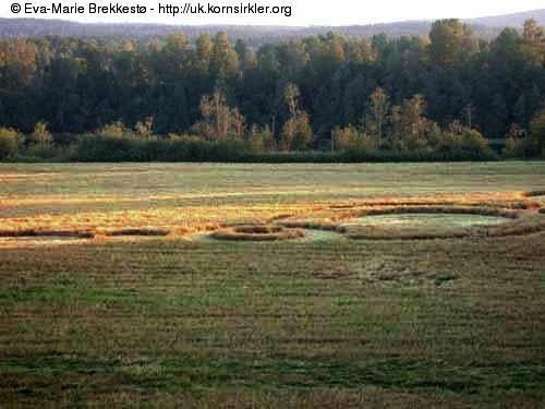 Crop circle