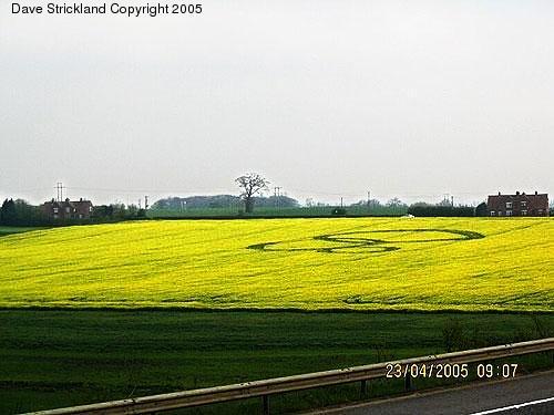 Crop circle