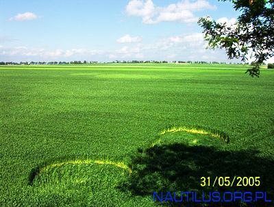 Crop circle