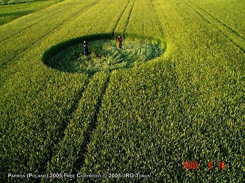 Crop circle