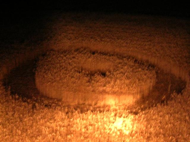 Crop circle