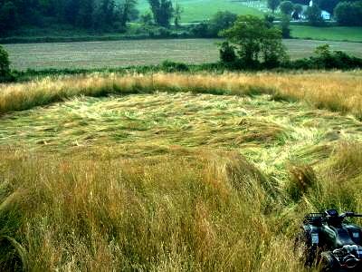 Crop circle