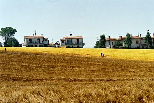 Crop circle