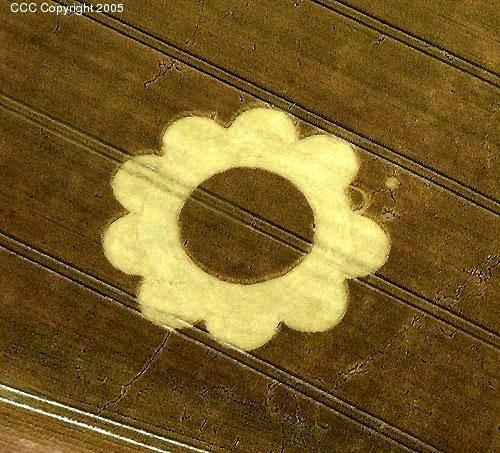 Crop circle